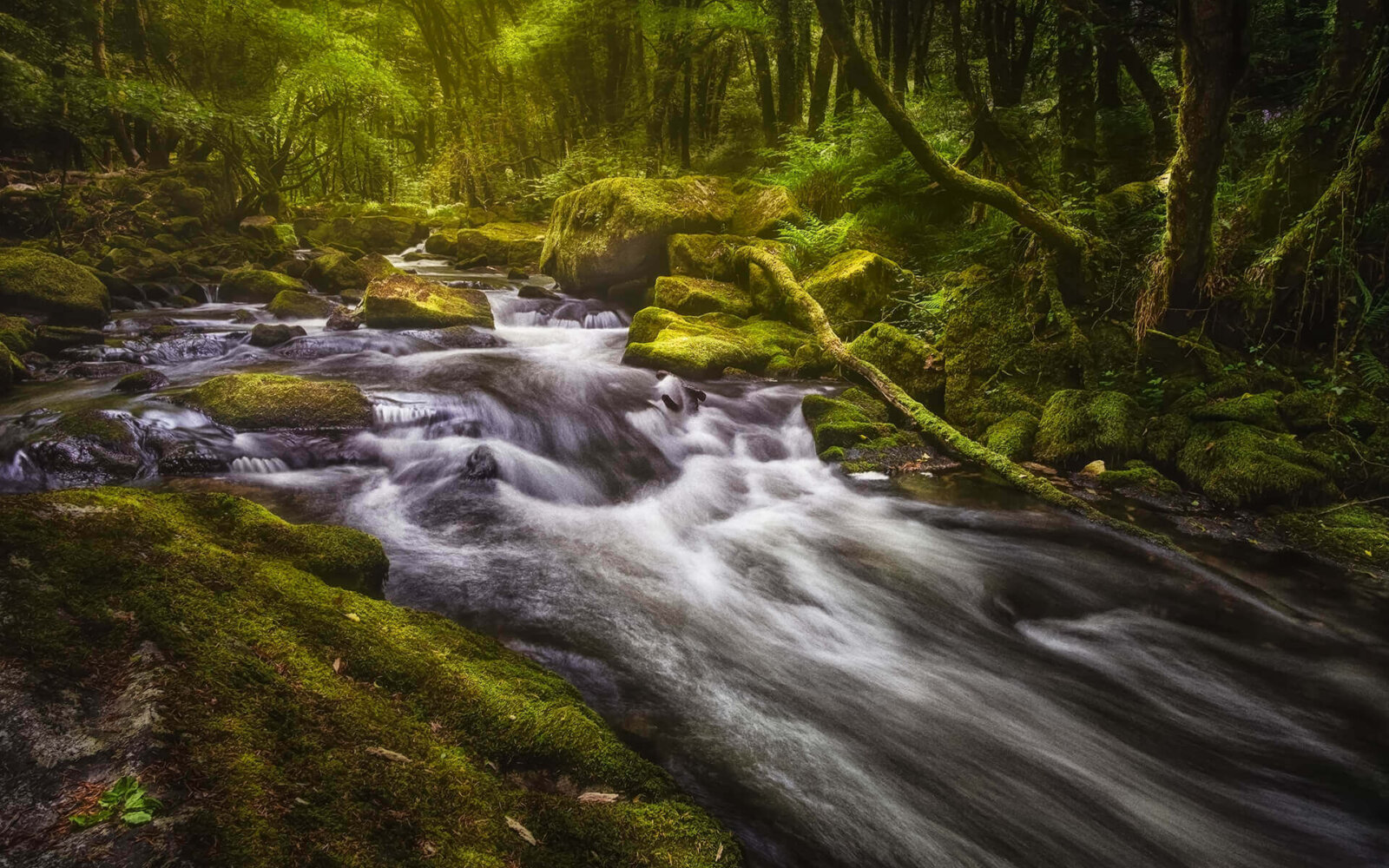 Golitha falls The beautiful Golitha Falls in the middle of Bodmin Moor forest.