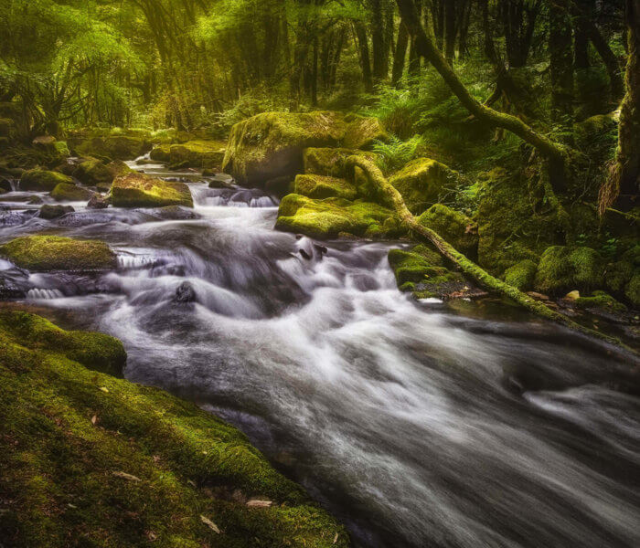 Golitha falls