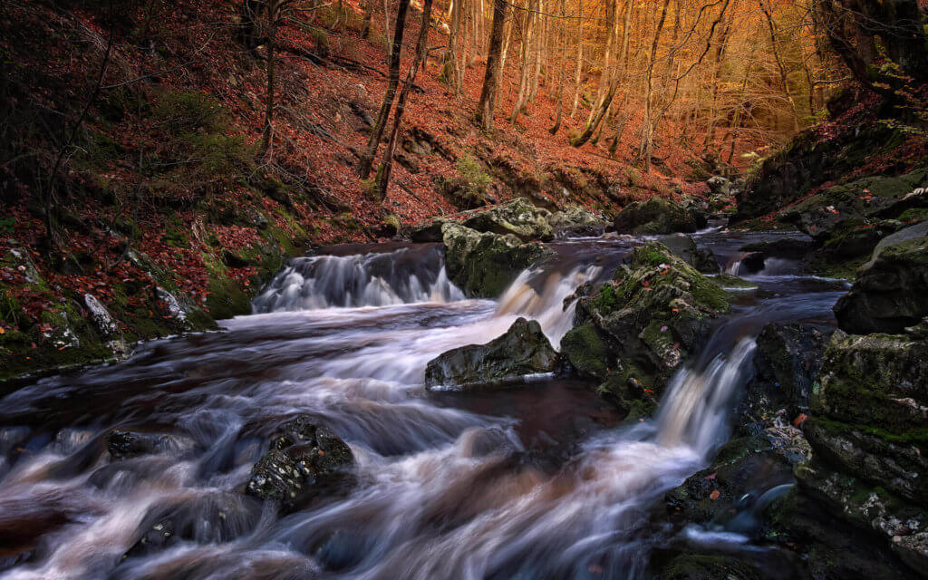 Hoëgne, Liège, Ardennes, Belgium