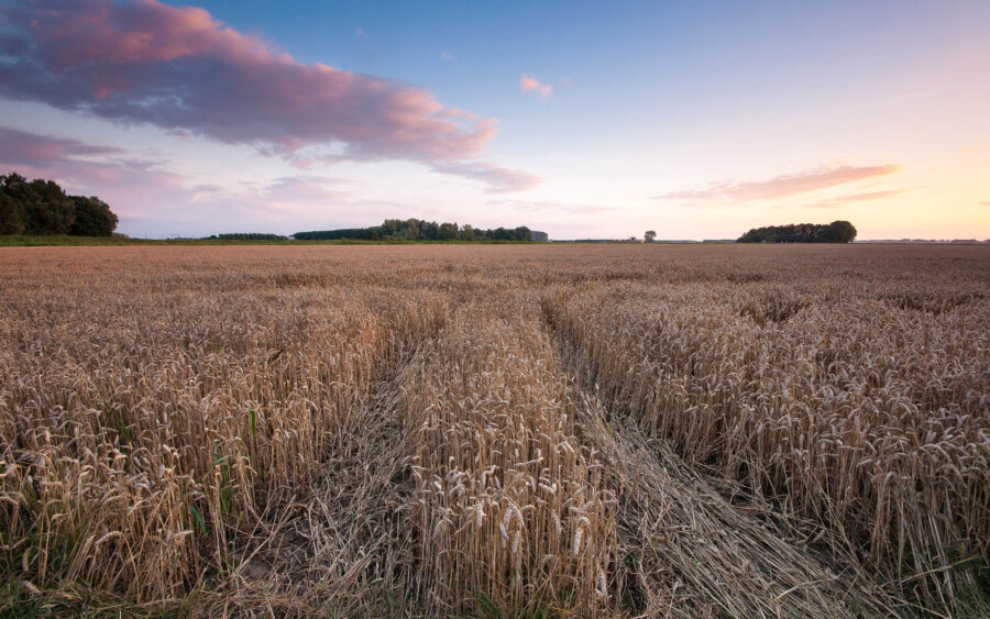 Noord-Brabant, Netherlands