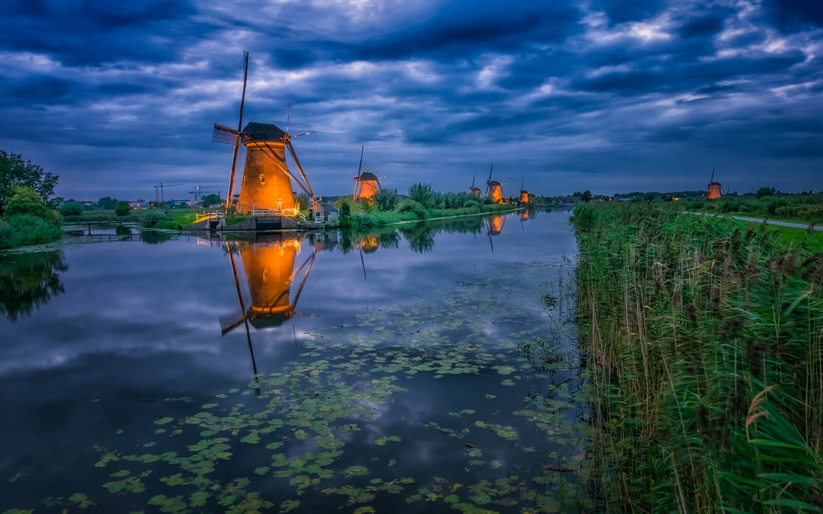 In the first week of September at the illuminated windmills of Kinderdijk.