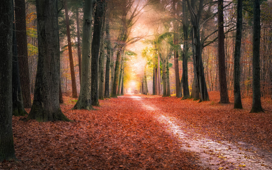 Noord-Brabant, Netherlands