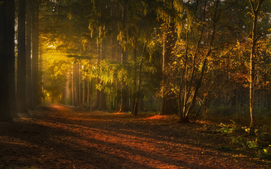 Noord-Brabant, Netherlands