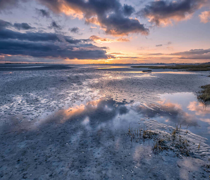 NP Oosterschelde