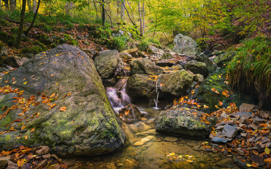 Ardennes, Belgium