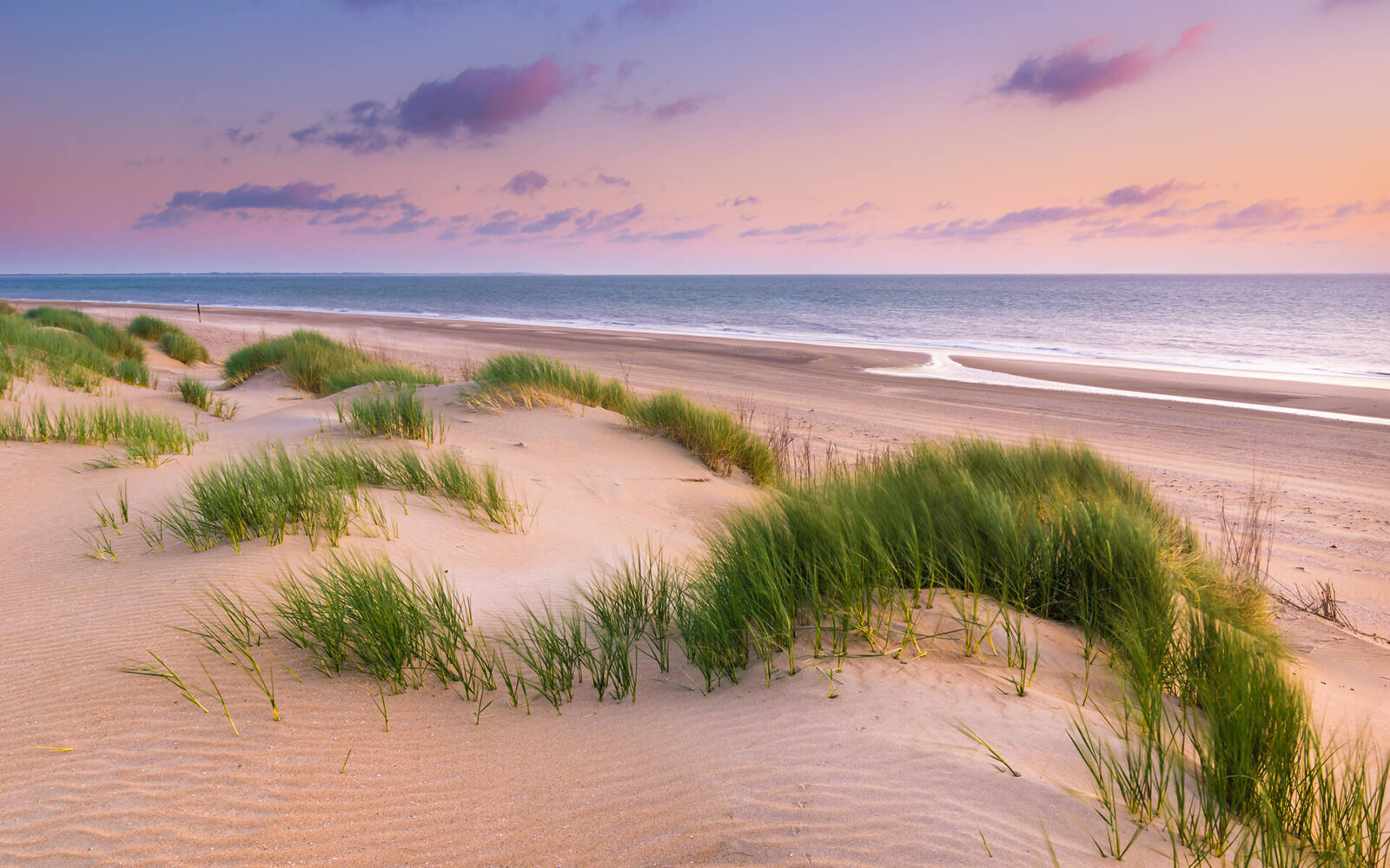 Ouddorp Serene and beautiful sunset at the dunes, with marram grass, and the beach at Ouddorp.