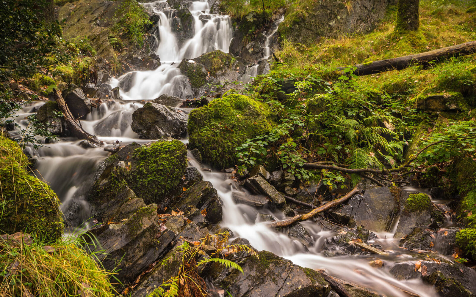 The Tom Gill waterfall in the middle of the Lake District, near Ambleside.