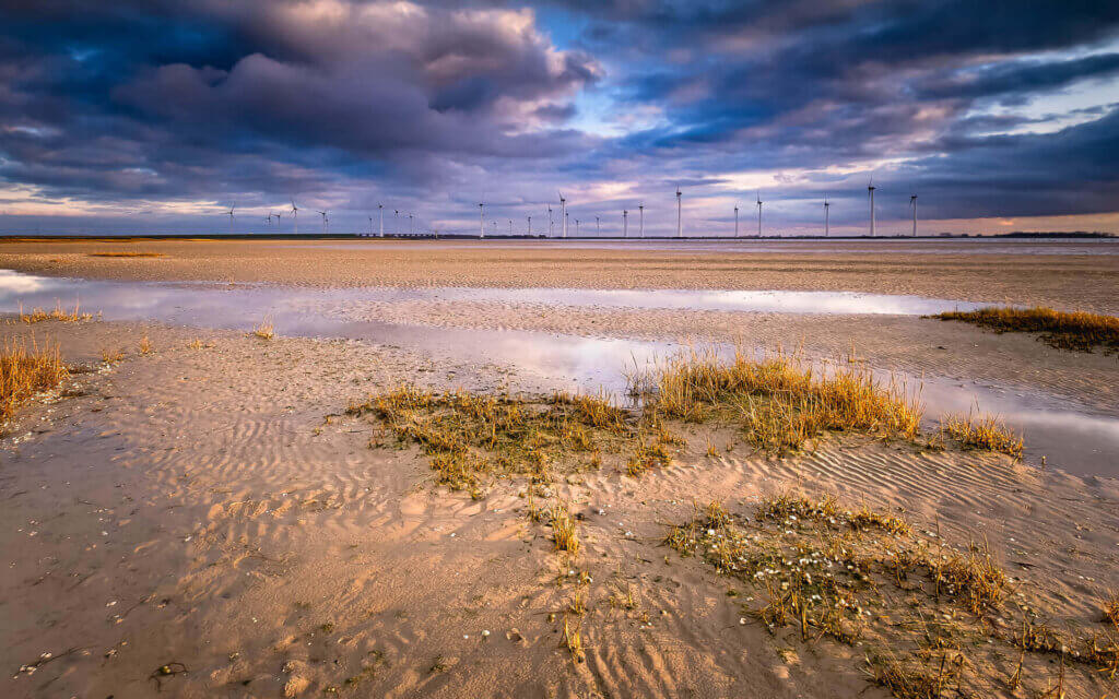 Dry land, at sunset, during the ebb tide of Oosterschelde near Bruinisse.