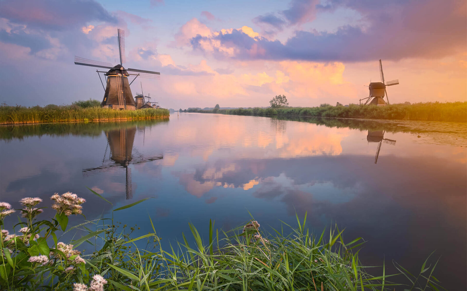 A serene sunset at the windmills of Kinderdijk.