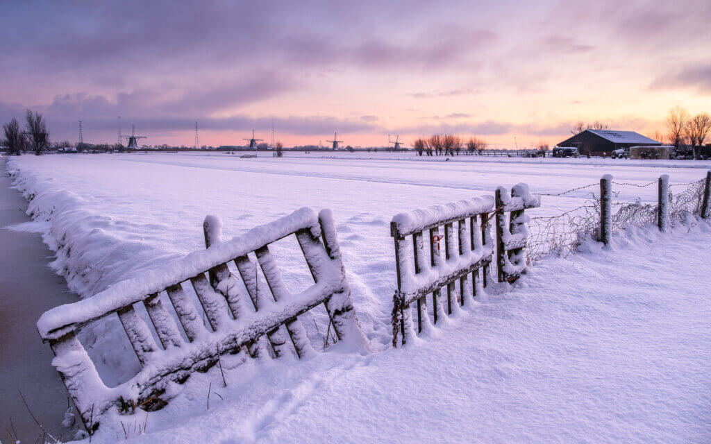 Winter polder landscape near Alblasserdam, snow and sunrise behind a wooden fence with view of the Kinderdijk windmills
