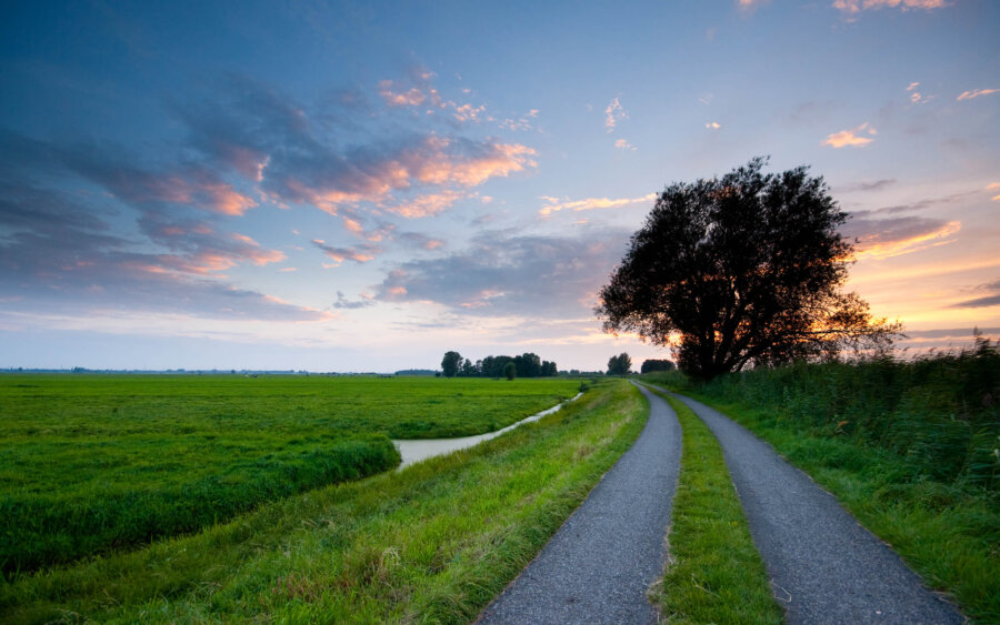 The path on De Donkse Laagte at sunset.