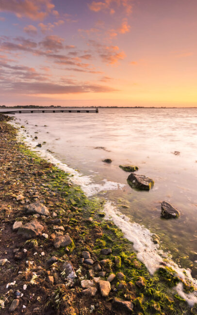 Bruinisse On a beautiful spring evening at the Grevelingenmeer, near Bruinisse.