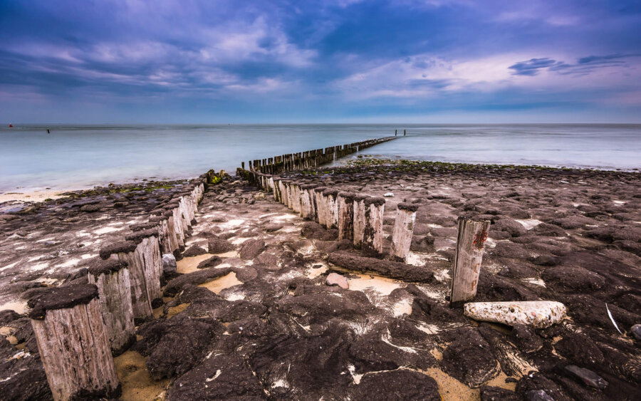 On the dike near Westkapelle, several rows of poles extend into the sea to break waves.