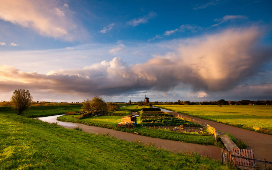 The market gardens between Kinderdijk and Nieuw-Lekkerland, with a typical Dutch sky.