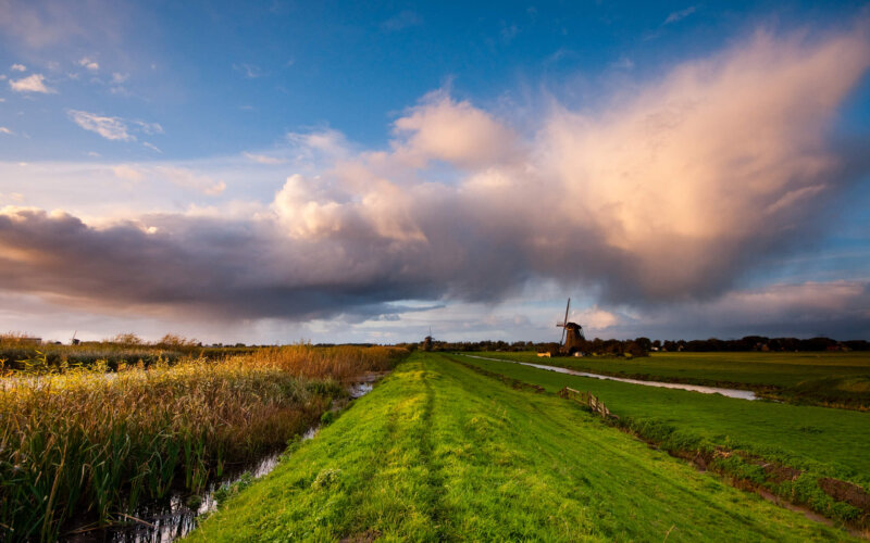 Kinderdijk