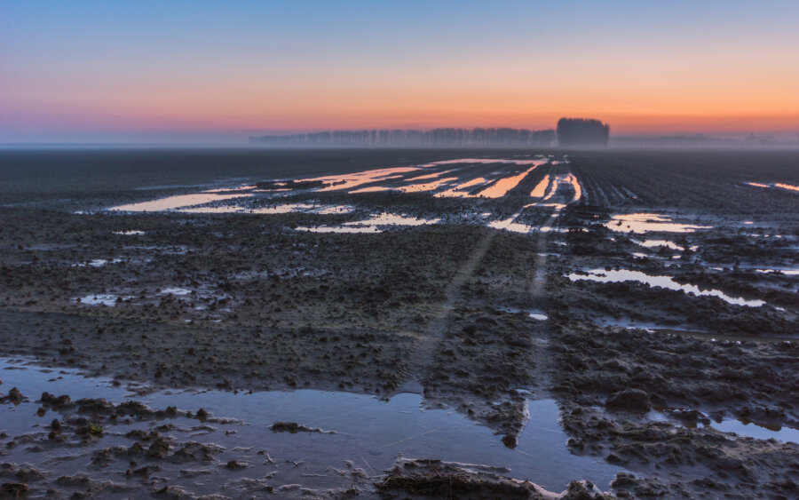 A field with tractor tracks and water ponds near Wilhelminadorp.