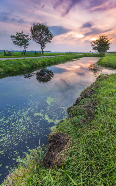 A meadow with a ditch and a road next to it, during sunset, near Bleskensgraaf.