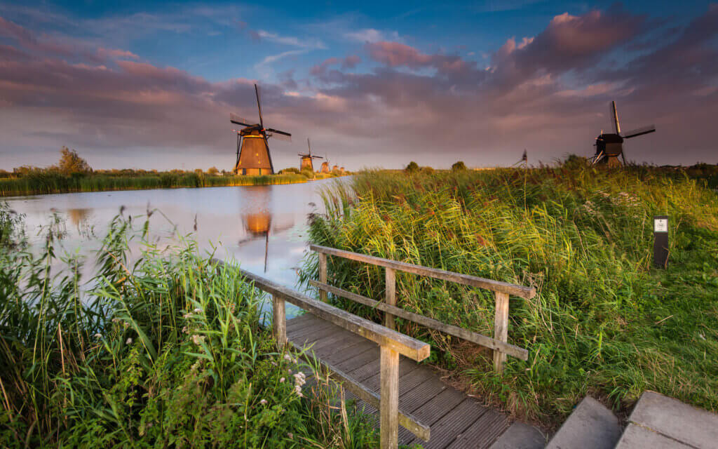 On a beautiful summer evening by the windmills of Kinderdijk. At a jetty where you can walk to the water to see the windmills even better.