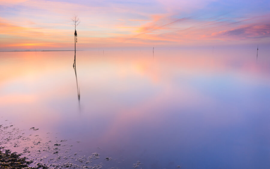 On a quiet, windless, serene morning at sunrise on the Oosterschelde.