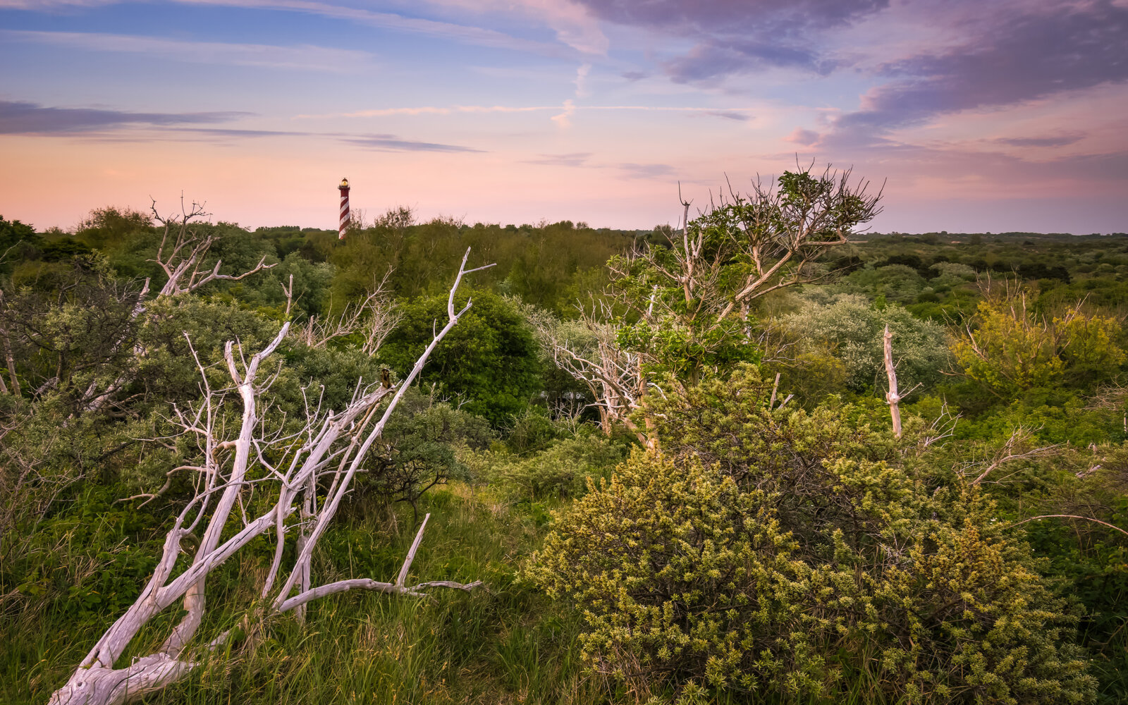 Burgh-Haamstede On the dunes near Burgh-Haamstede, with a view of the lighthouse, at sunset.