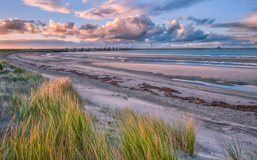 Westenschouwen Early one morning, on the dunes near Westenschouwen, with a view of Neeltje Jans.