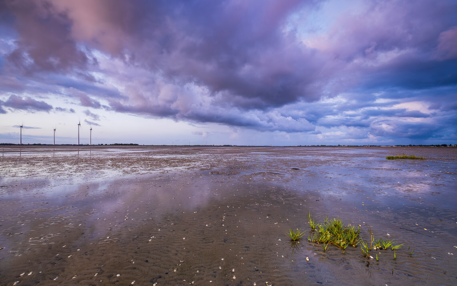A magnificent cloudy sky, just before sunrise, over the exposed seabed of the Oosterschelde at low tide.